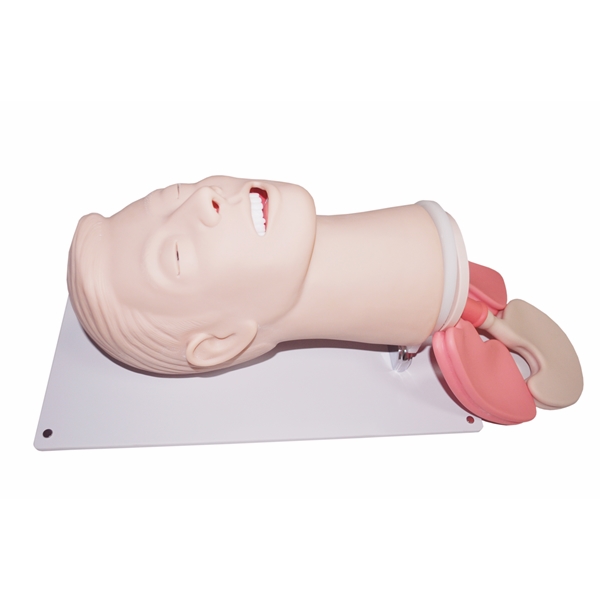 Advanced-Airway-Head-J.jpg